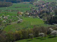 Kirschblüte  Kirschblüte bei Rüsselbach : Luftaufnahmen Luftbild