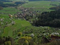 Kirschblüte  Kirschblüte bei Rüsselbach : Luftaufnahmen Luftbild