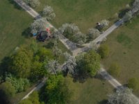 Obstblüte  Obstbüten im Marienberg : Luftaufnahmen Luftbild
