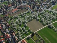 Kirschblüte  Kirschblüte in Kalchreuth : Luftaufnahmen Luftbild