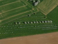 Kirschblüte  Kirschblüte bei Rüsselbach : Luftaufnahmen Luftbild